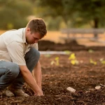 Farmer Sowing Crop