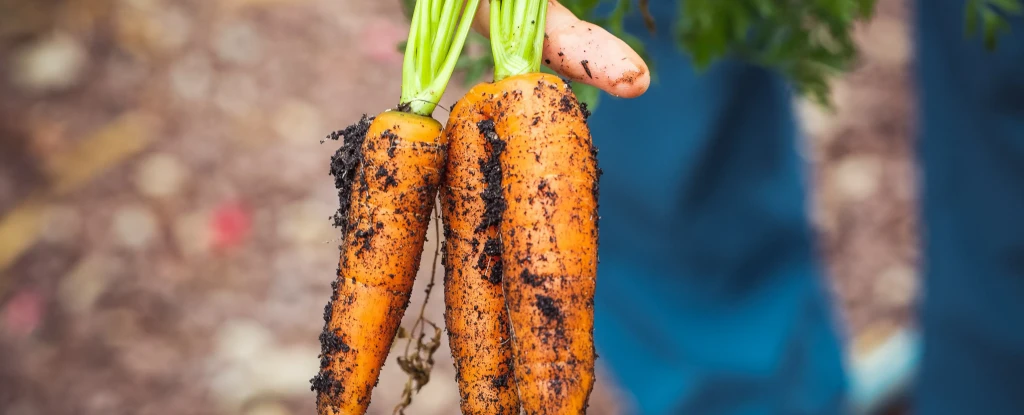 Micro Farming